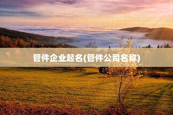 管件企业起名(管件公司名称)