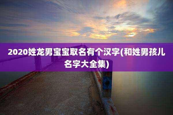 2020姓龙男宝宝取名有个汉字(和姓男孩儿名字大全集)