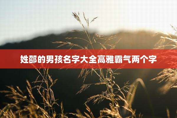 姓邵的男孩名字大全高雅霸气两个字