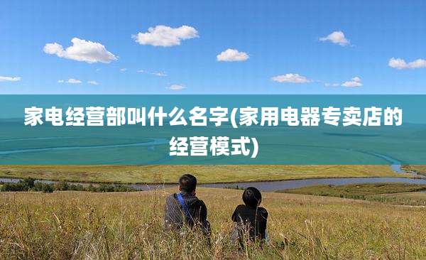 家电经营部叫什么名字(家用电器专卖店的经营模式)