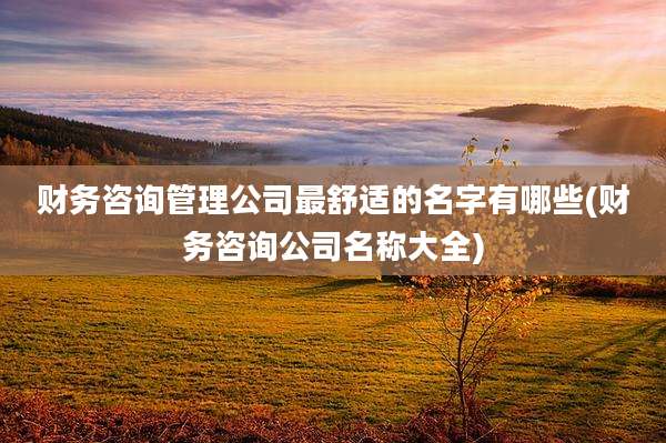 财务咨询管理公司最舒适的名字有哪些(财务咨询公司名称大全)