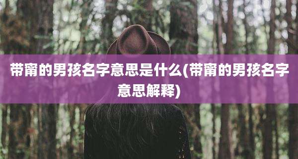 带甯的男孩名字意思是什么(带甯的男孩名字意思解释)