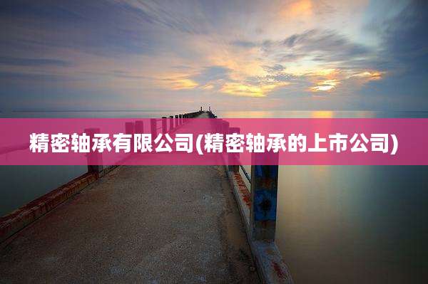 精密轴承有限公司(精密轴承的上市公司)