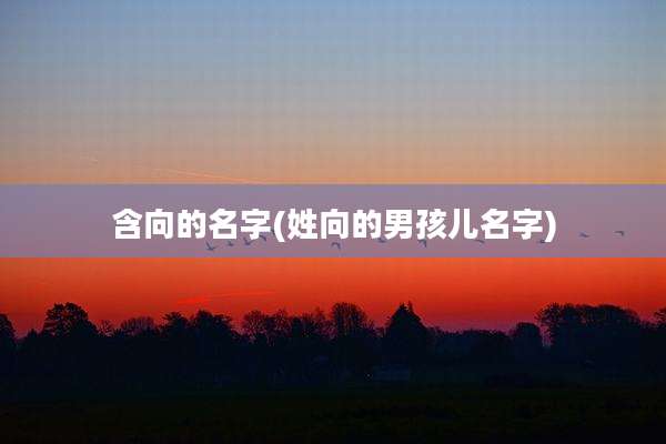 含向的名字(姓向的男孩儿名字)