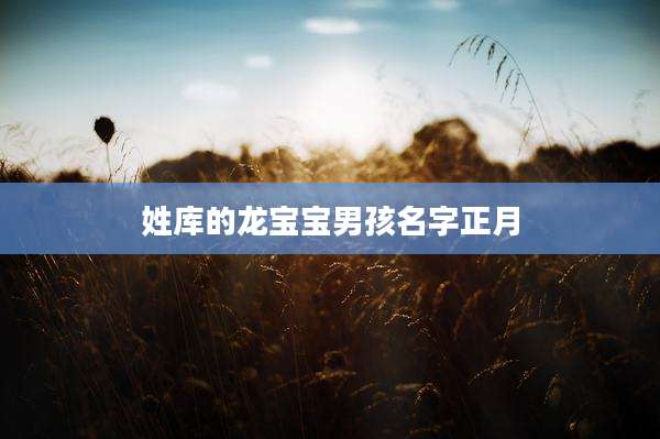 姓库的龙宝宝男孩名字正月
