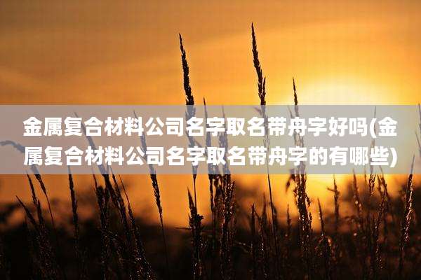 金属复合材料公司名字取名带舟字好吗(金属复合材料公司名字取名带舟字的有哪些)