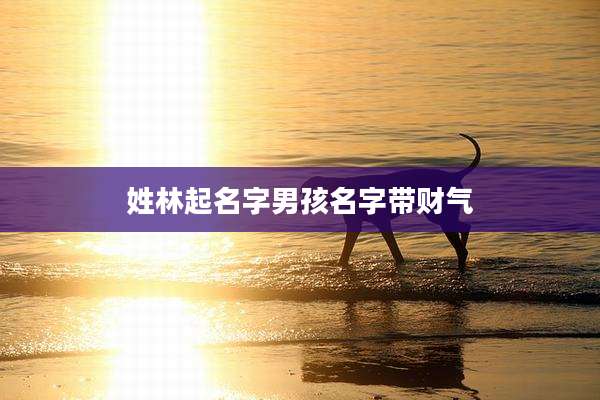 姓林起名字男孩名字带财气