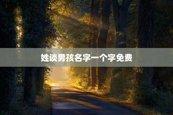 姓谈男孩名字一个字免费