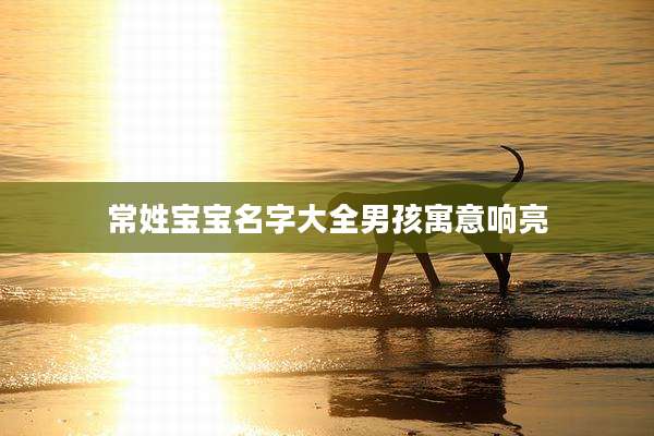 常姓宝宝名字大全男孩寓意响亮