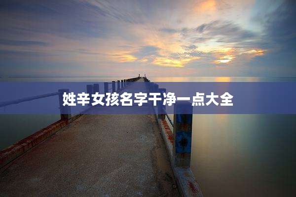姓辛女孩名字干净一点大全