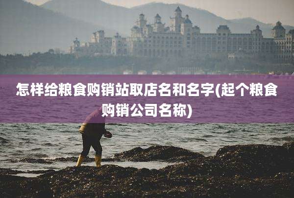 怎样给粮食购销站取店名和名字(起个粮食购销公司名称)