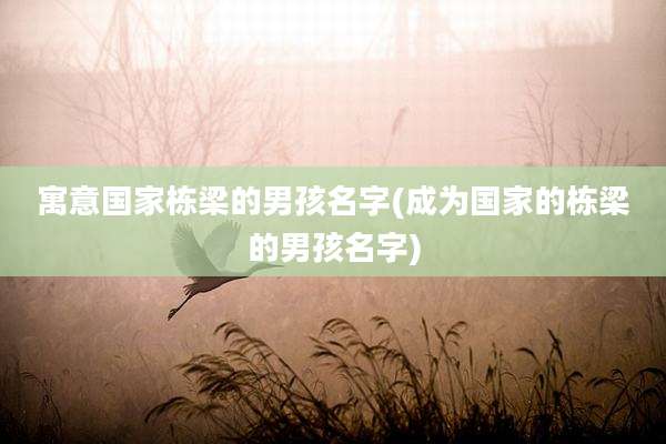 寓意国家栋梁的男孩名字(成为国家的栋梁的男孩名字)