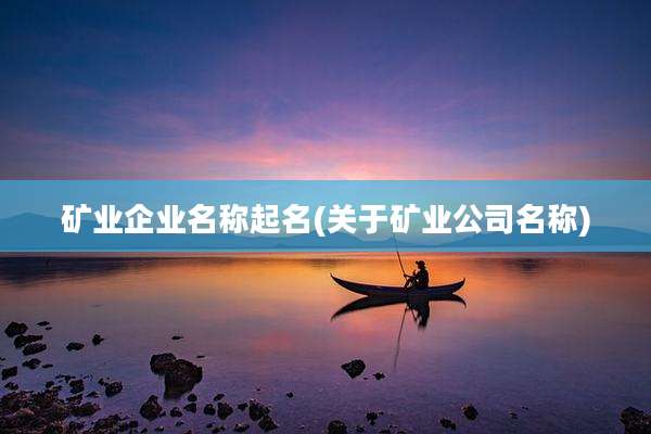 矿业企业名称起名(关于矿业公司名称)