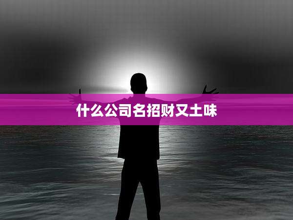 什么公司名招财又土味