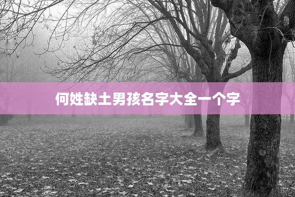 何姓缺土男孩名字大全一个字