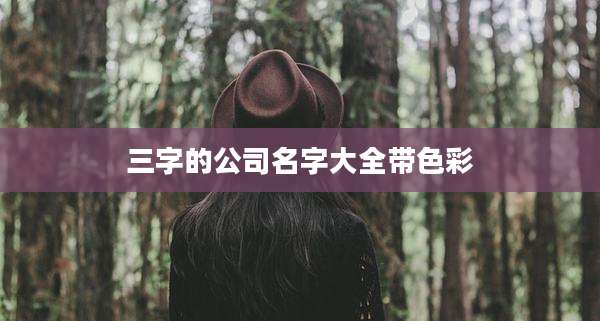 三字的公司名字大全带色彩