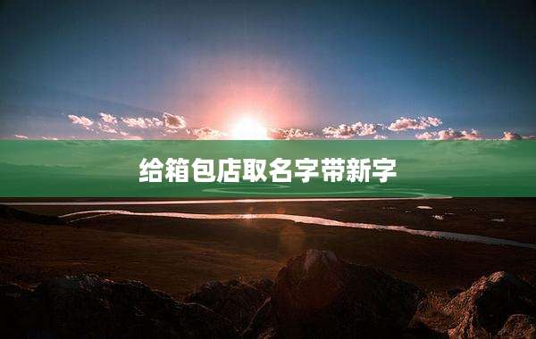 给箱包店取名字带新字