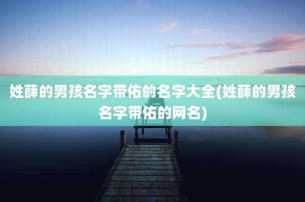 姓薛的男孩名字带佑的名字大全(姓薛的男孩名字带佑的网名)