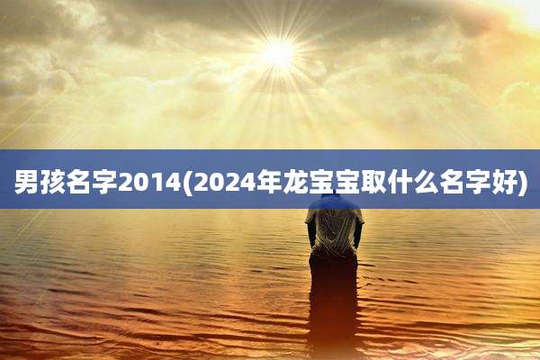 男孩名字2014(2024年龙宝宝取什么名字好)