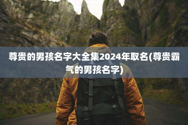 尊贵的男孩名字大全集2024年取名(尊贵霸气的男孩名字)