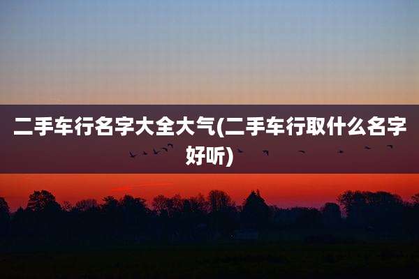 二手车行名字大全大气(二手车行取什么名字好听)