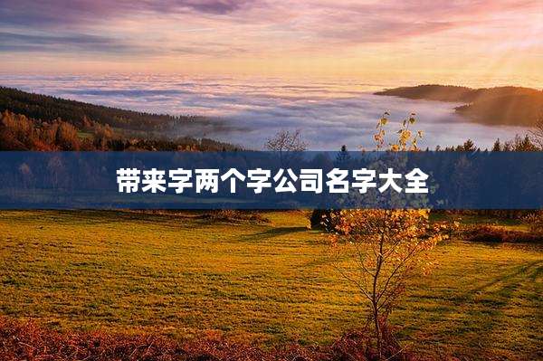 带来字两个字公司名字大全
