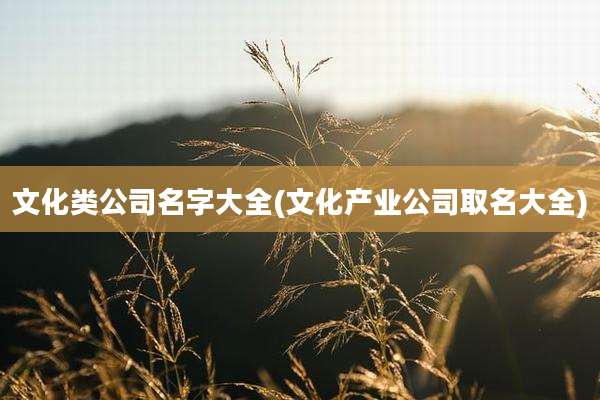 文化类公司名字大全(文化产业公司取名大全)