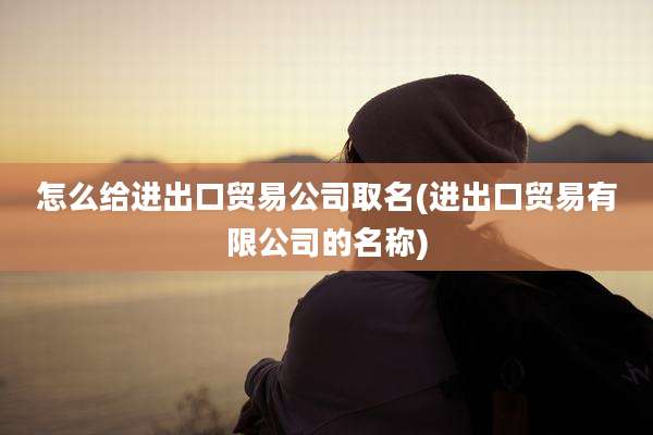 怎么给进出口贸易公司取名(进出口贸易有限公司的名称)