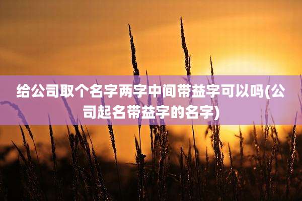 给公司取个名字两字中间带益字可以吗(公司起名带益字的名字)