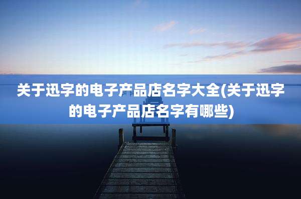 关于迅字的电子产品店名字大全(关于迅字的电子产品店名字有哪些)