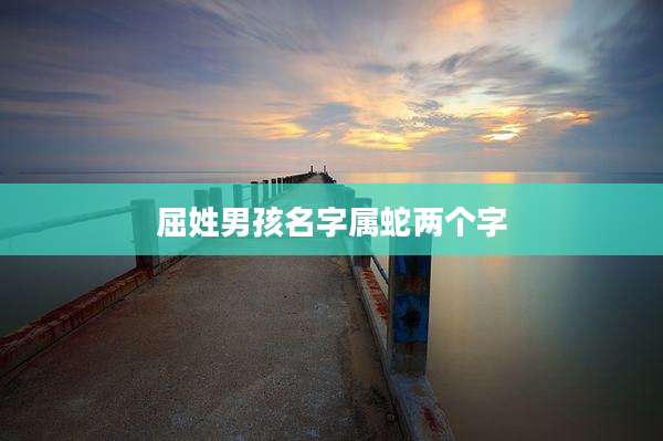 屈姓男孩名字属蛇两个字