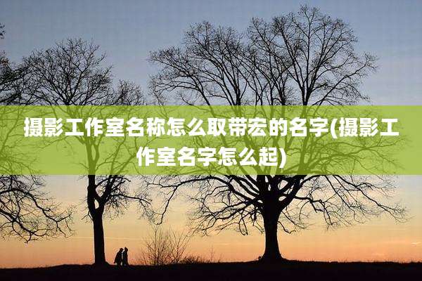 摄影工作室名称怎么取带宏的名字(摄影工作室名字怎么起)