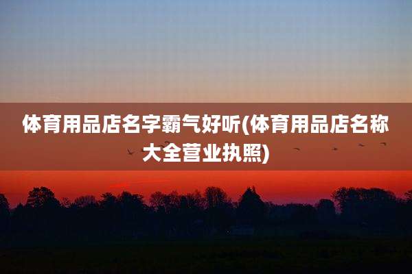 体育用品店名字霸气好听(体育用品店名称大全营业执照)