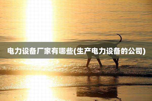 电力设备厂家有哪些(生产电力设备的公司)