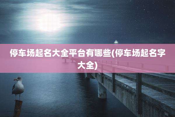 停车场起名大全平台有哪些(停车场起名字大全)