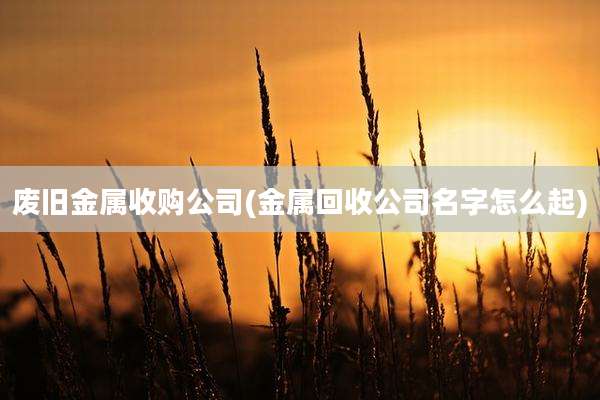 废旧金属收购公司(金属回收公司名字怎么起)