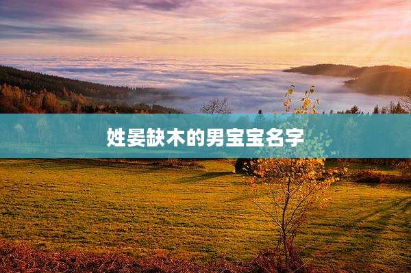 姓晏缺木的男宝宝名字