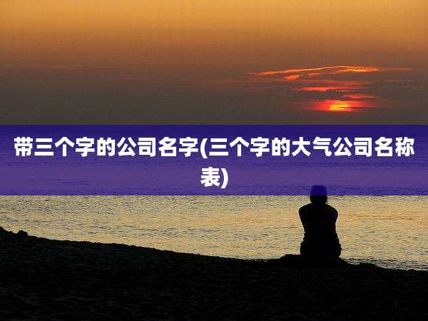 带三个字的公司名字(三个字的大气公司名称表)
