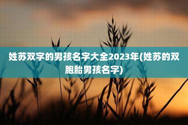 姓苏双字的男孩名字大全2023年(姓苏的双胞胎男孩名字)