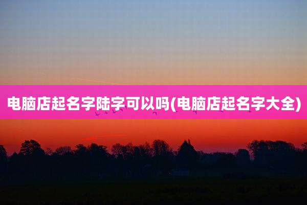 电脑店起名字陆字可以吗(电脑店起名字大全)