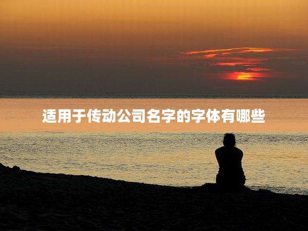 适用于传动公司名字的字体有哪些