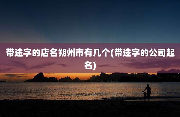 带途字的店名朔州市有几个(带途字的公司起名)