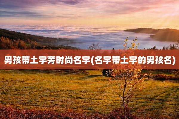 男孩带土字旁时尚名字(名字带土字的男孩名)
