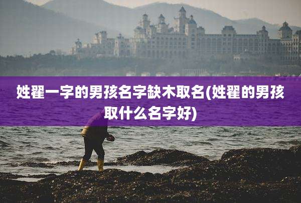 姓翟一字的男孩名字缺木取名(姓翟的男孩取什么名字好)