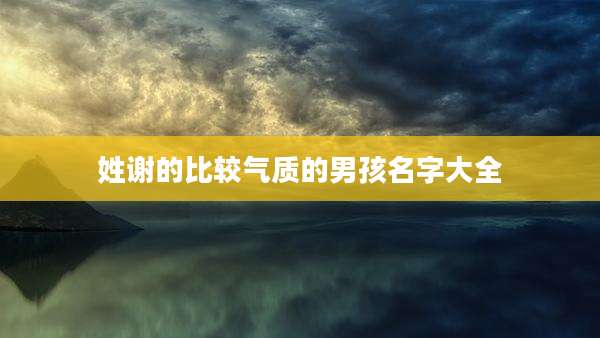 姓谢的比较气质的男孩名字大全