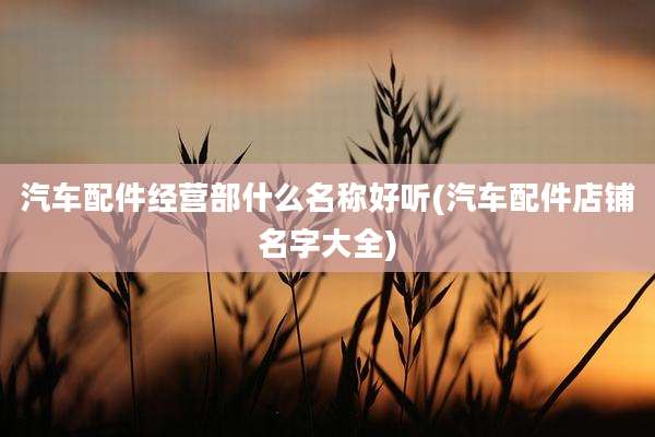 汽车配件经营部什么名称好听(汽车配件店铺名字大全)