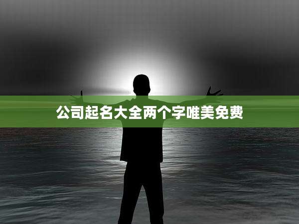 公司起名大全两个字唯美免费