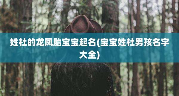 姓杜的龙凤胎宝宝起名(宝宝姓杜男孩名字大全)