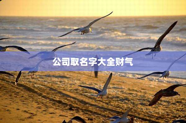 公司取名字大全财气