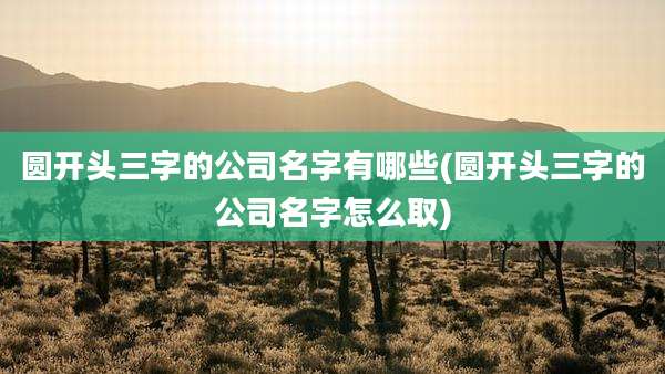 圆开头三字的公司名字有哪些(圆开头三字的公司名字怎么取)